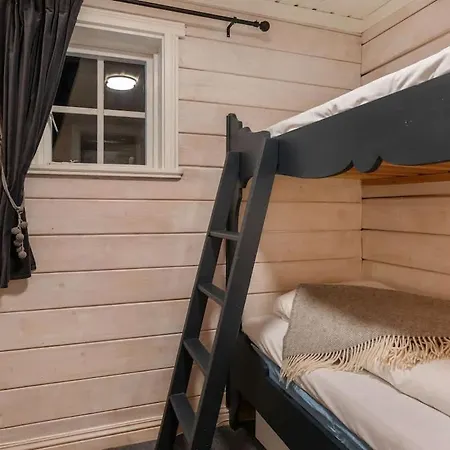 Skilodge 208 With Hot Tub By Vacation Trysil Mælem